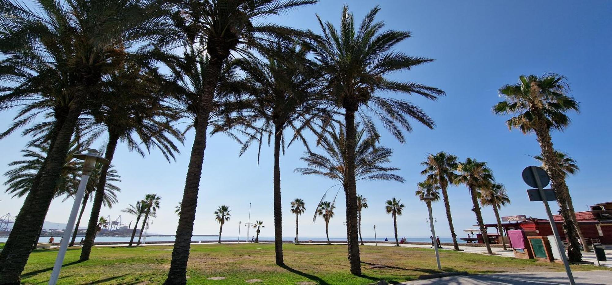 Paloma Beach Malaga Málaga Exterior foto